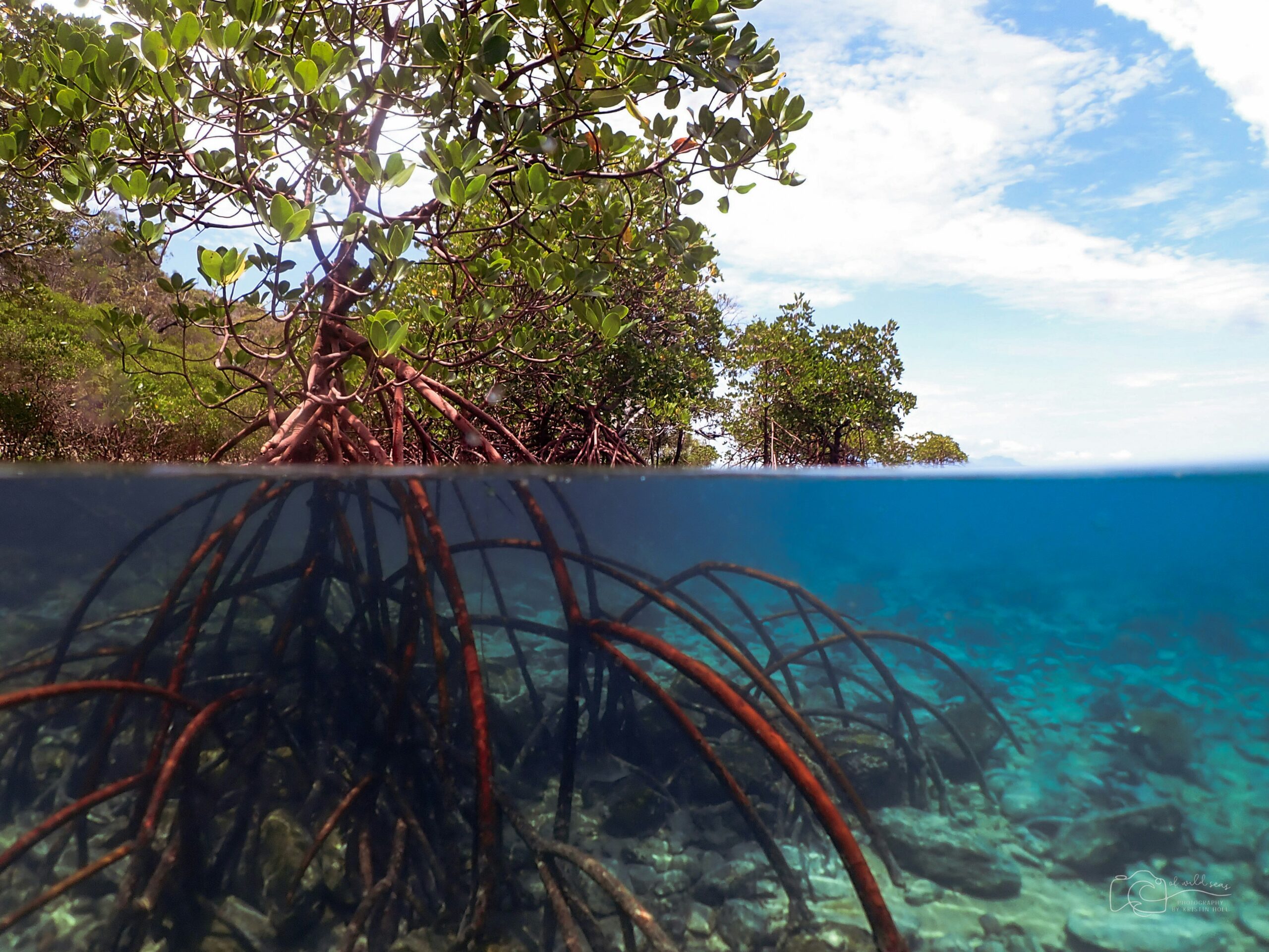 kristin-hoel-i5kMNyhiw6c-unsplash