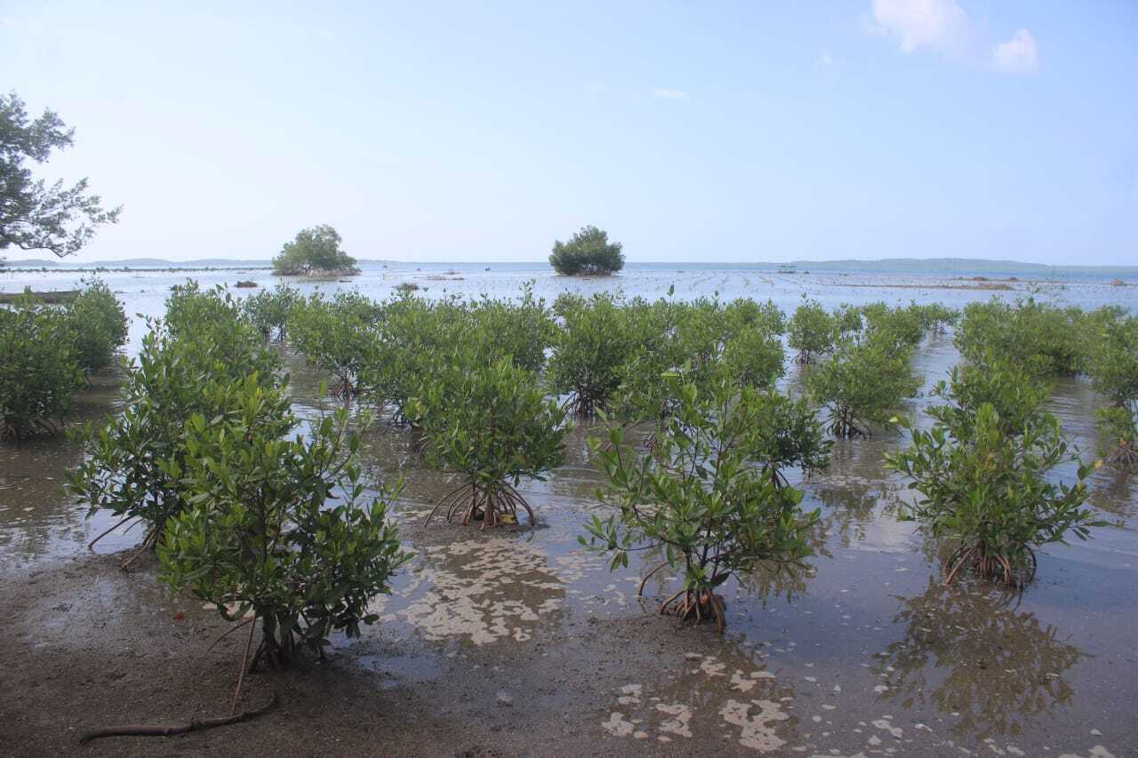 265bbbff-0fe2-41c6-b264-baffc4f19a09