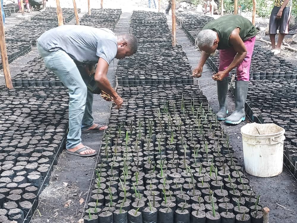 3ea1c71b-92ee-4ceb-879b-ea5721684820