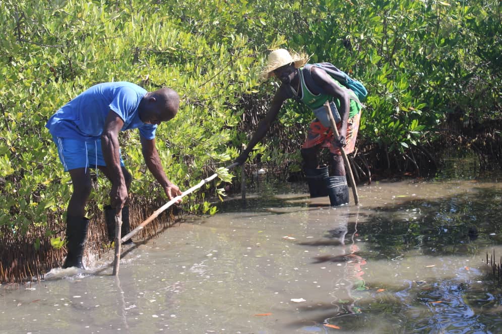 WhatsApp Image 2025-11-01 at 9.00.02 AM (1)