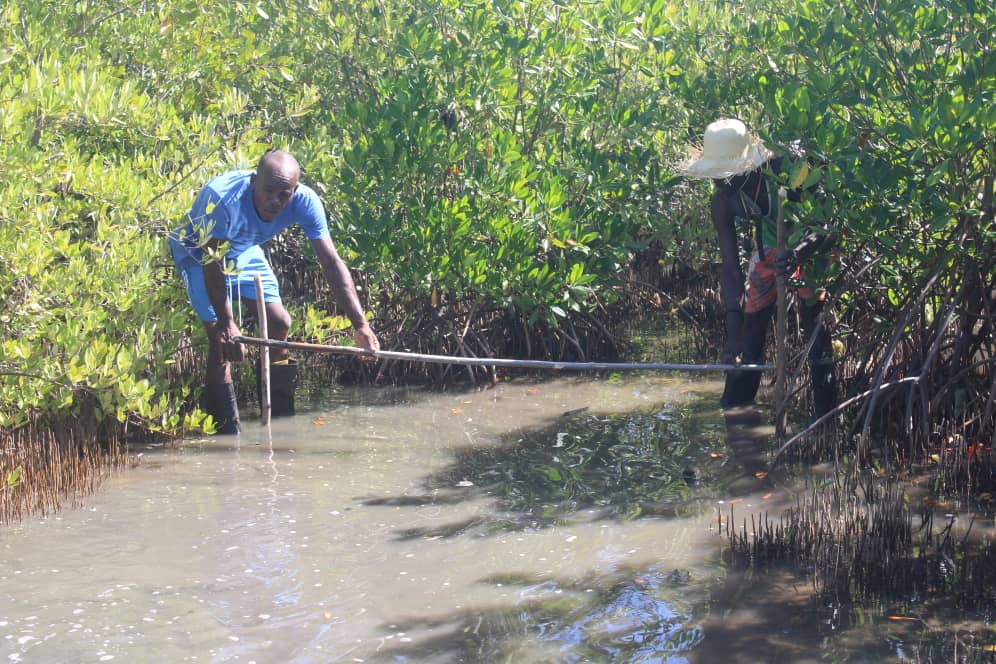 WhatsApp Image 2025-11-01 at 9.00.02 AM