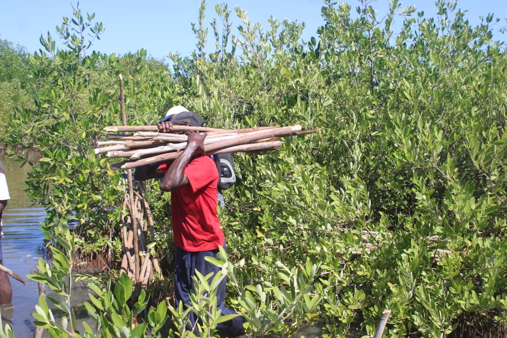 WhatsApp Image 2025-11-01 at 9.00.03 AM