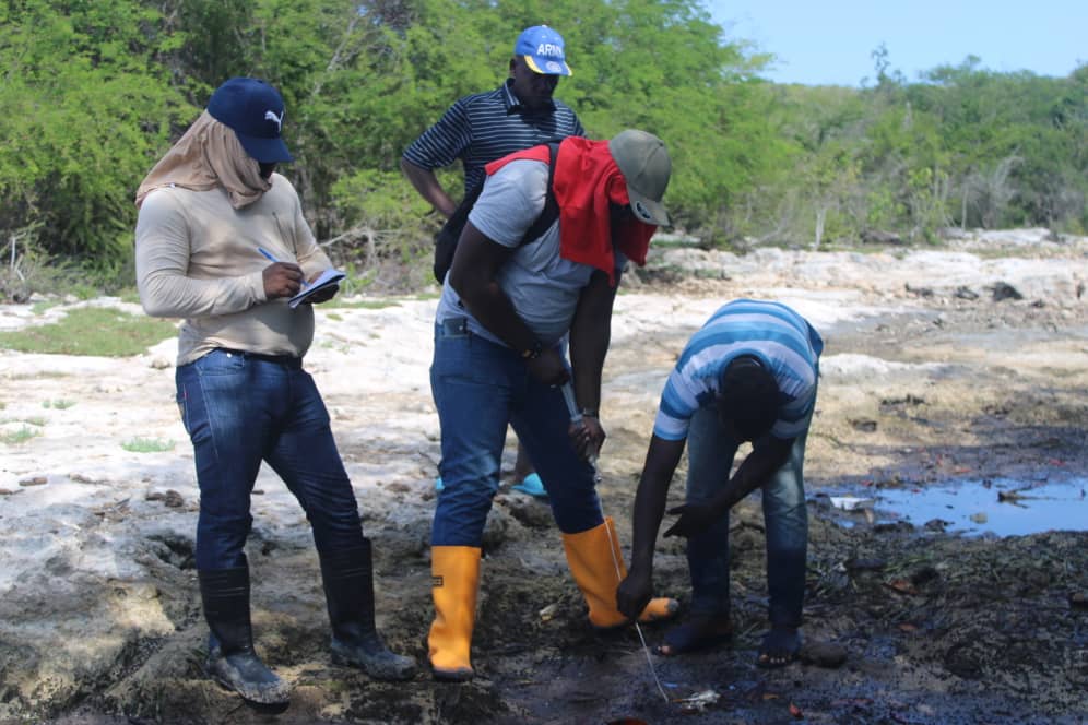 WhatsApp Image 2025-11-01 at 9.03.09 AM (2)