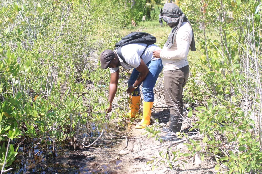 WhatsApp Image 2025-11-01 at 9.03.09 AM (2)