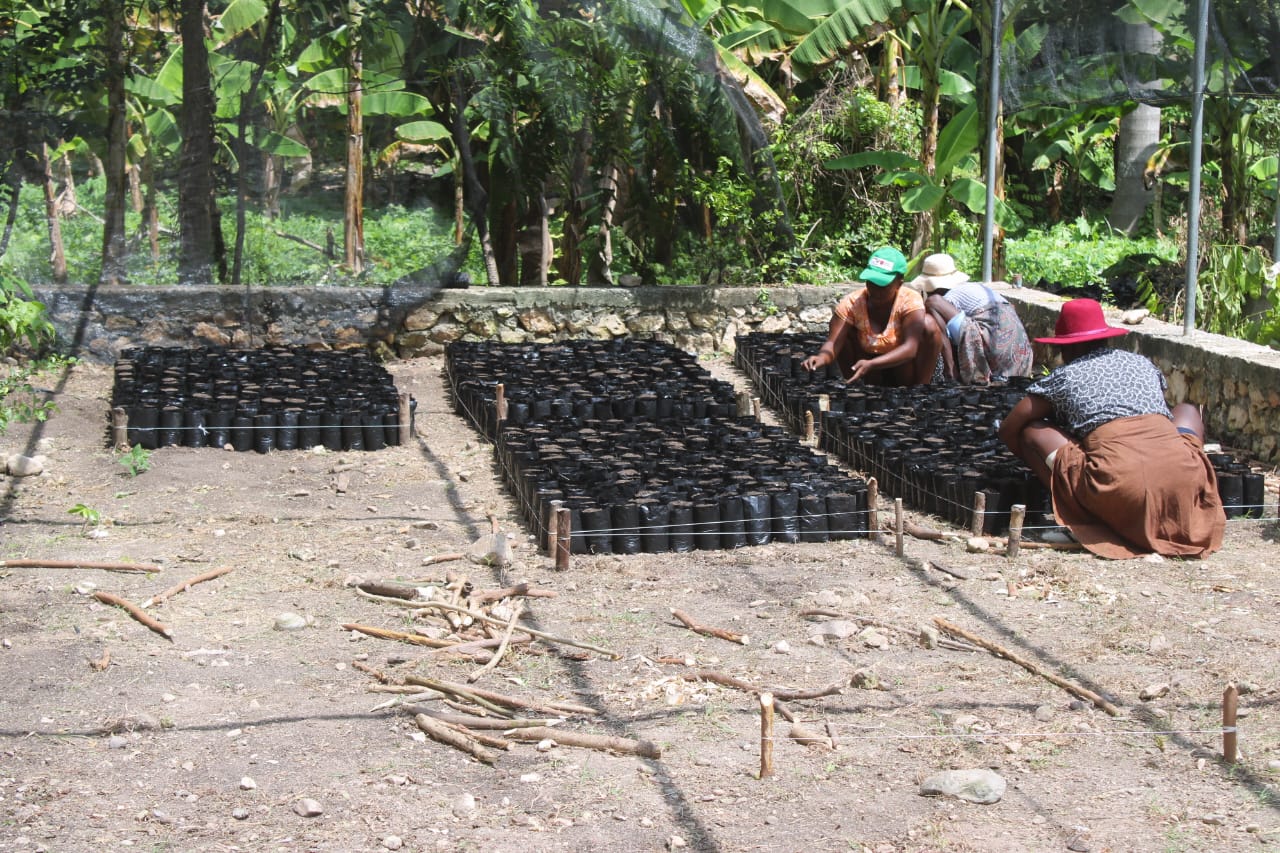 WhatsApp Image 2025-11-01 at 9.04.26 AM (1)