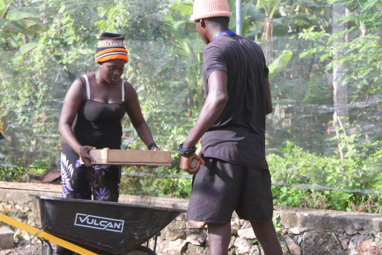 WhatsApp Image 2025-11-01 at 9.04.26 AM (3)