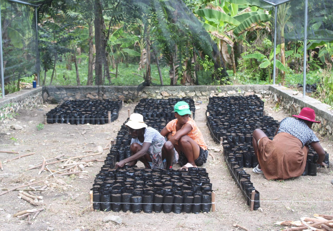 WhatsApp Image 2025-11-01 at 9.04.27 AM