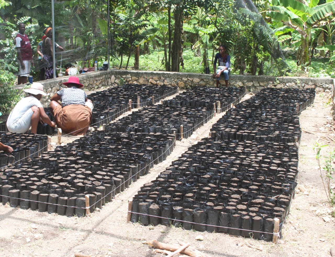 WhatsApp Image 2025-11-01 at 9.04.28 AM (2)