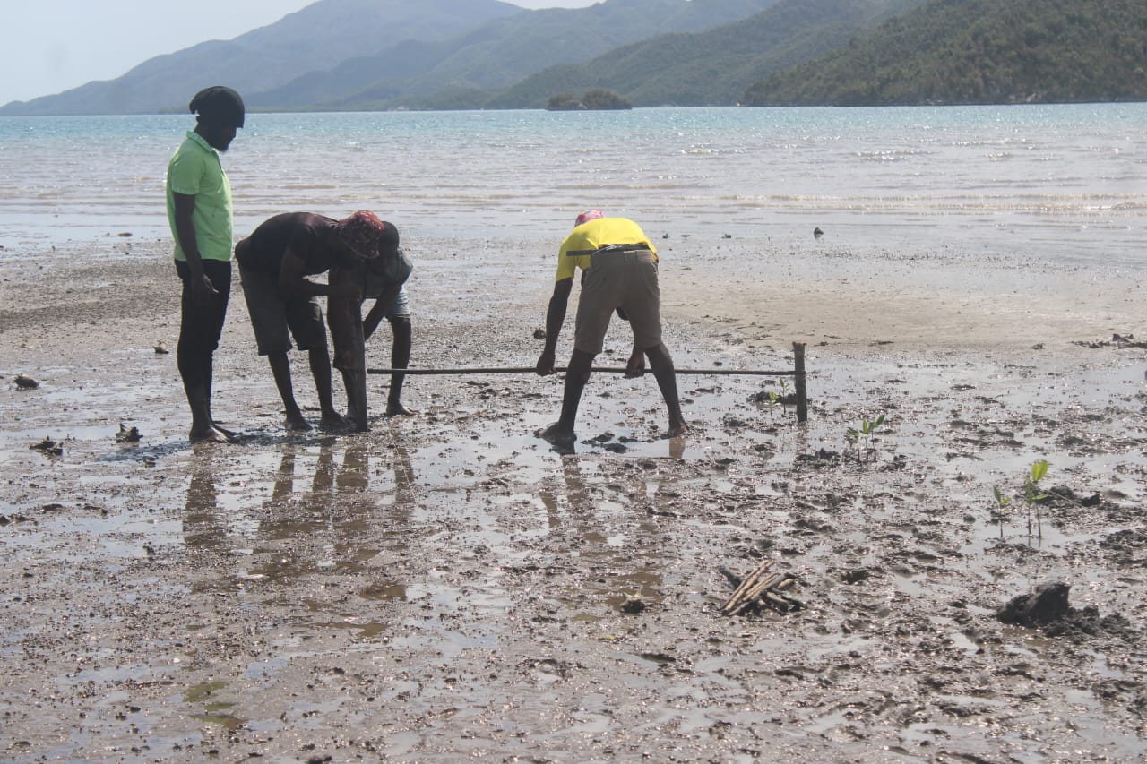 WhatsApp Image 2025-11-01 at 9.05.05 AM (2)