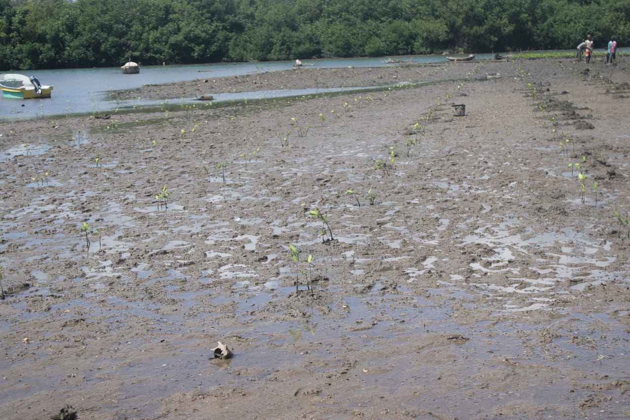 WhatsApp Image 2025-11-01 at 9.05.05 AM (3)