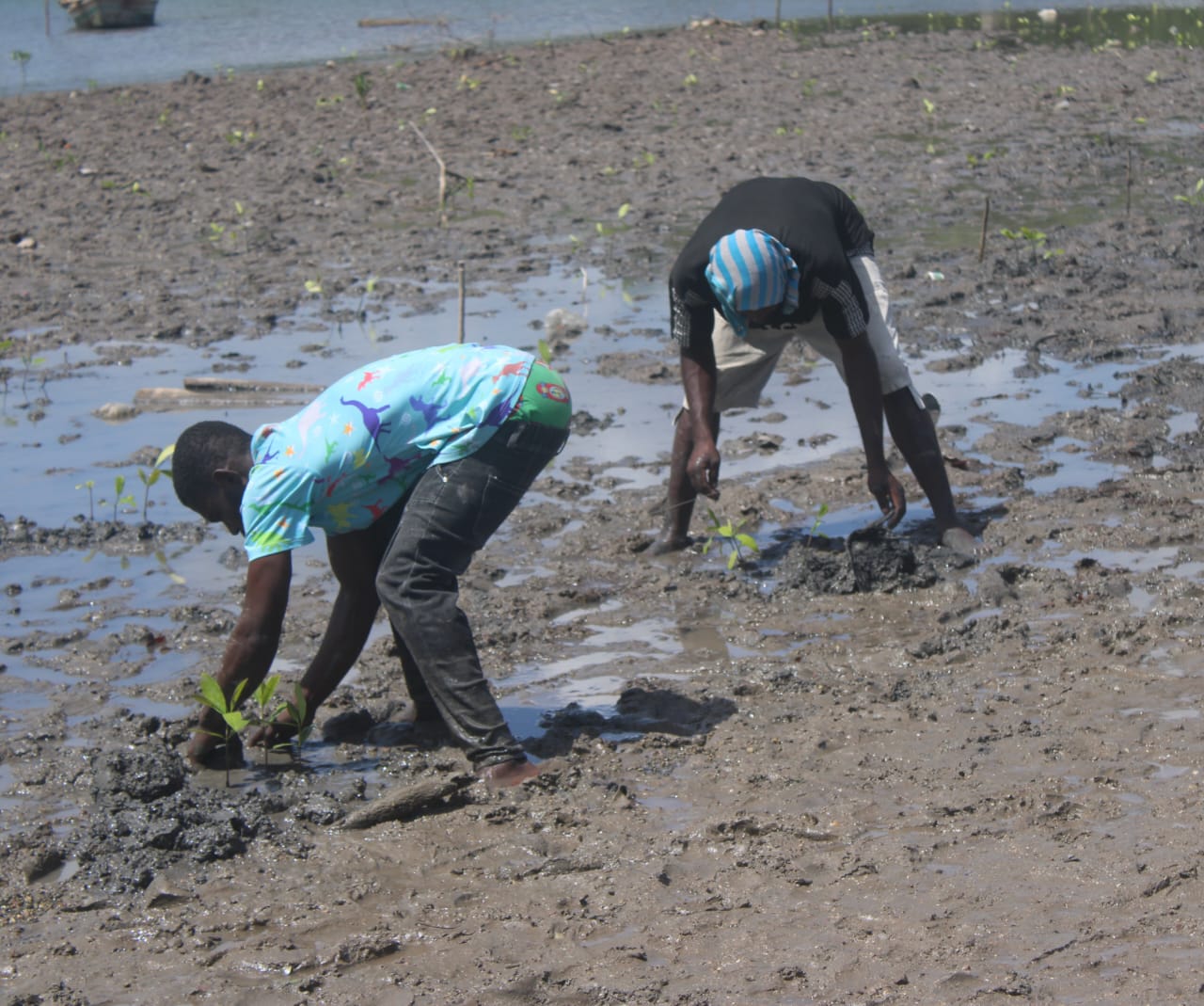 WhatsApp Image 2025-11-01 at 9.05.06 AM