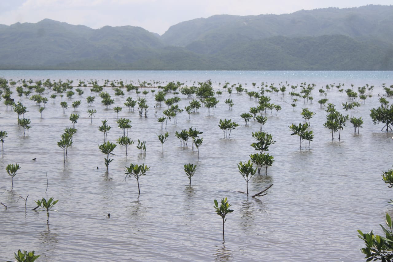 WhatsApp Image 2025-11-01 at 9.06.46 AM (1)