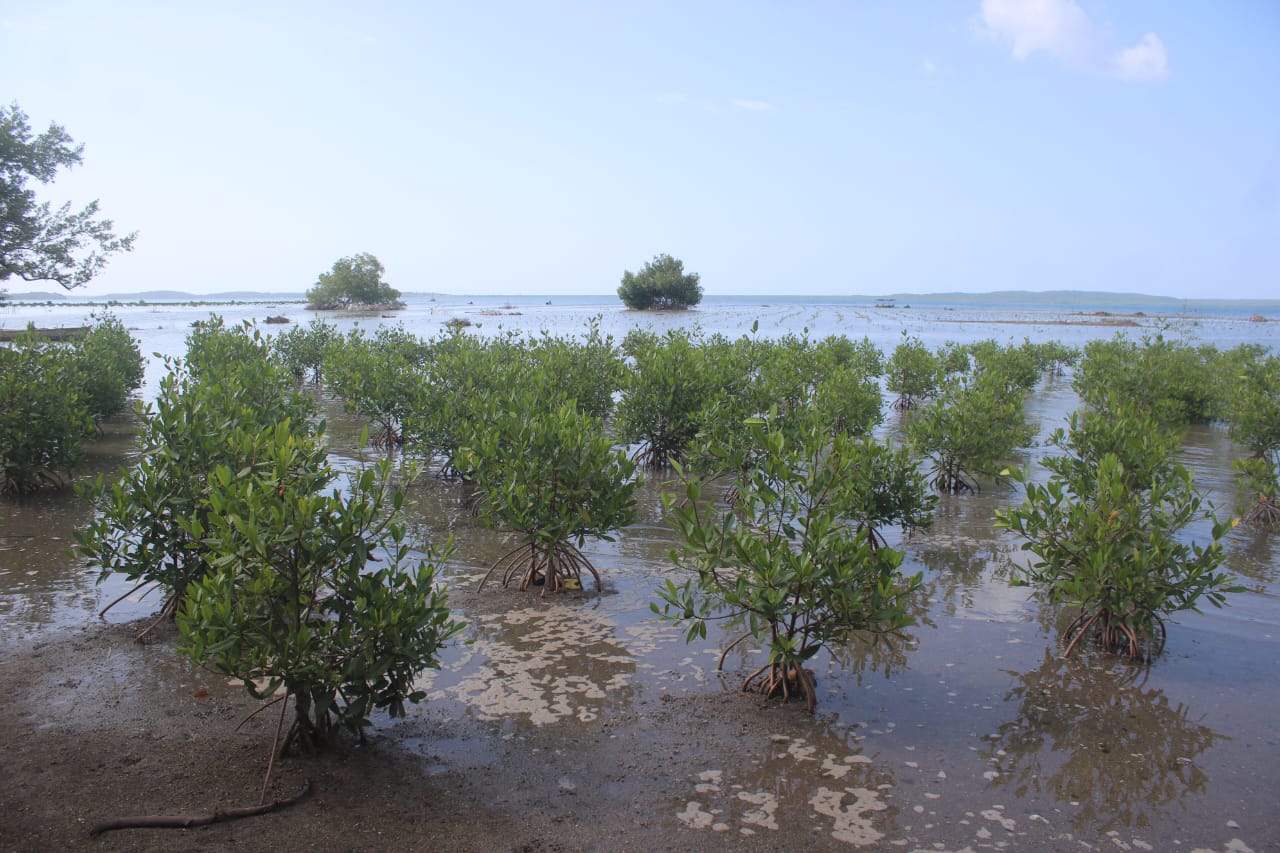 WhatsApp Image 2025-11-01 at 9.06.46 AM