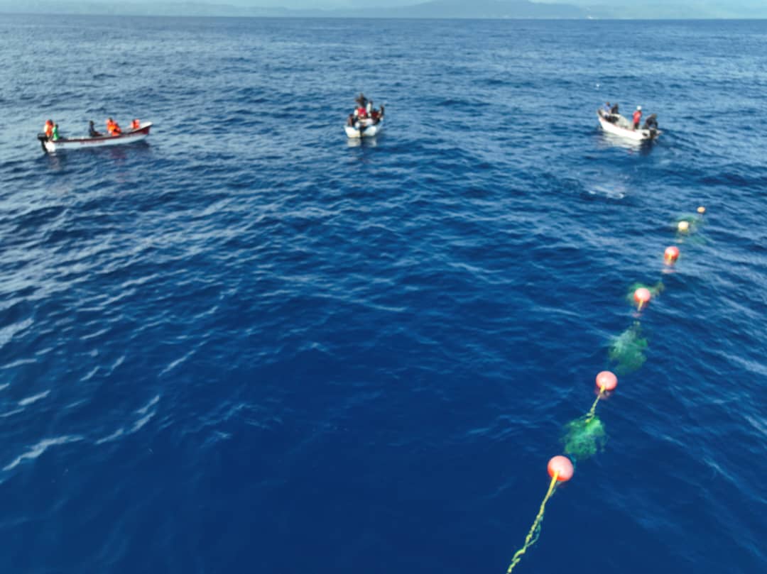 WhatsApp Image 2025-11-01 at 9.07.46 AM