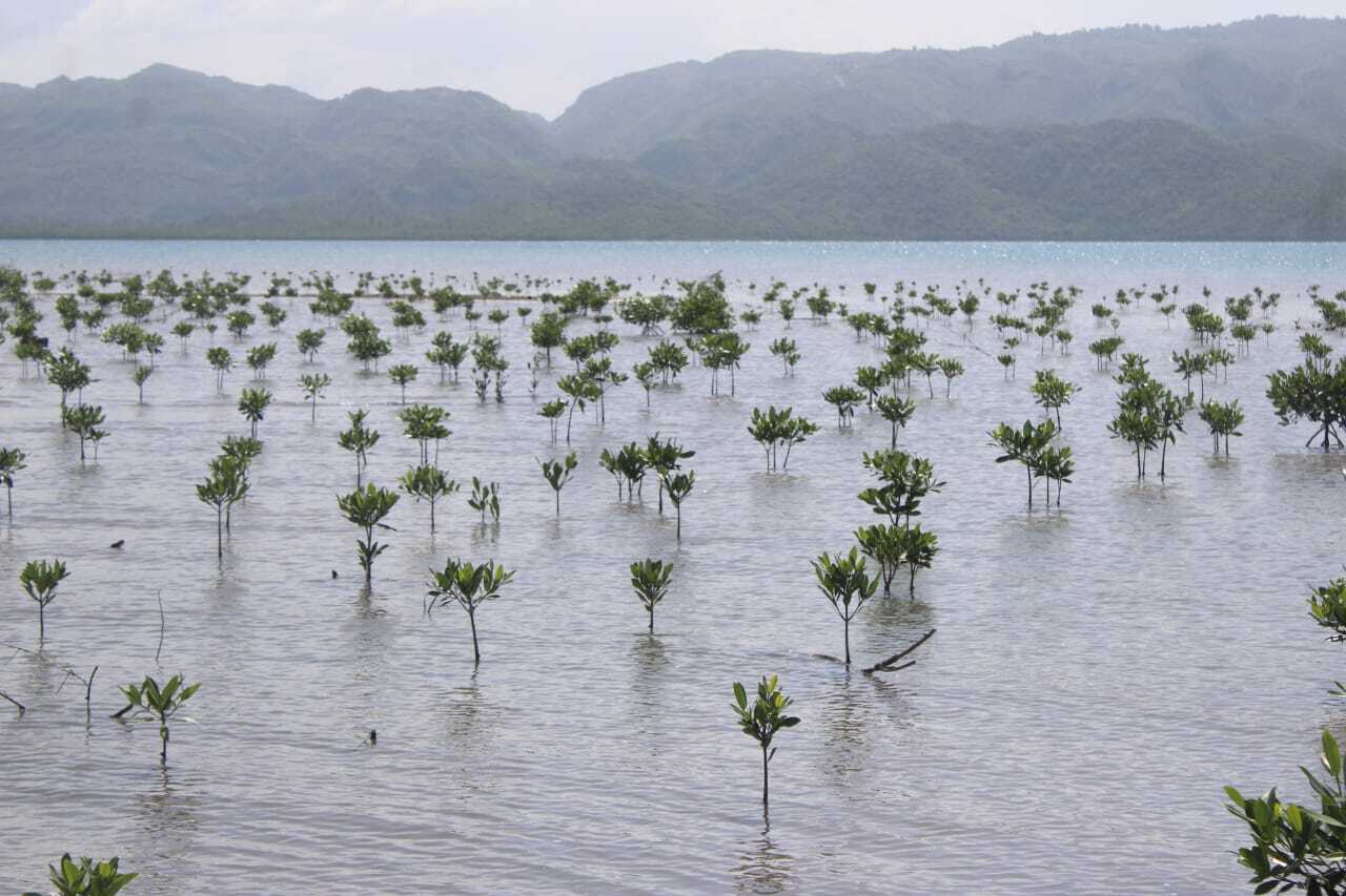 d449e3ad-4528-4083-8f30-e2c9ee5746ff