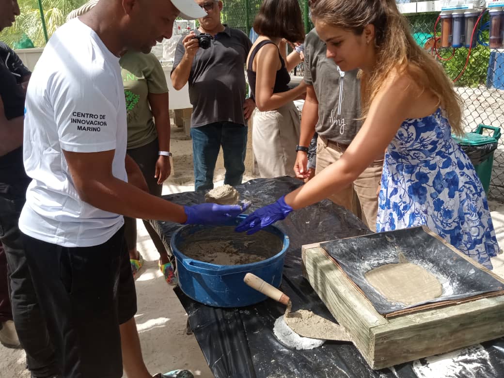 iedih Ayiti Coral